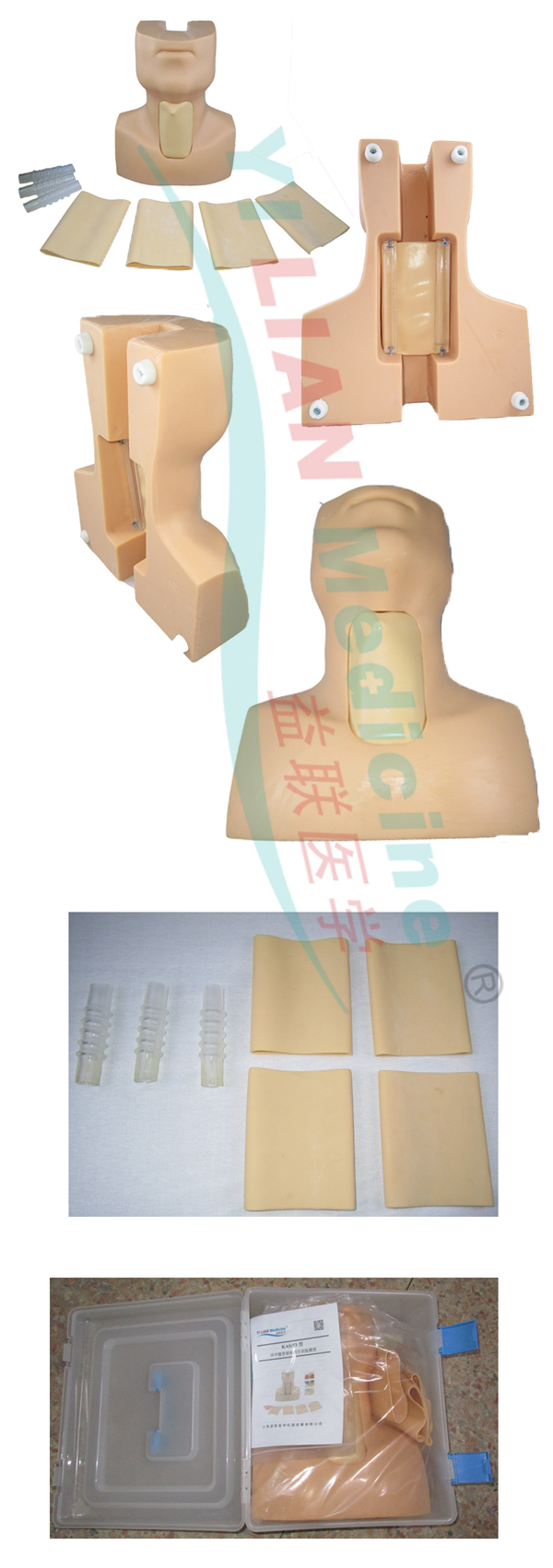 高級(jí)環(huán)甲膜穿刺及氣管切開(kāi)插管訓(xùn)練模型